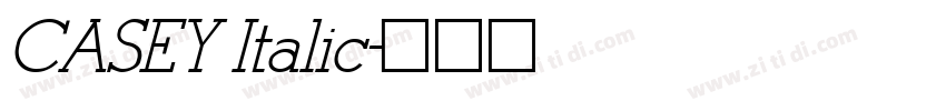 CASEY Italic字体转换